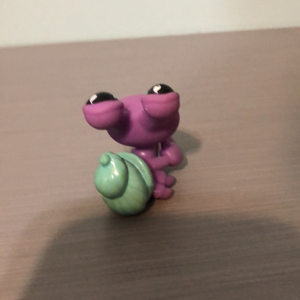Lps snail - Picture 2 of 2